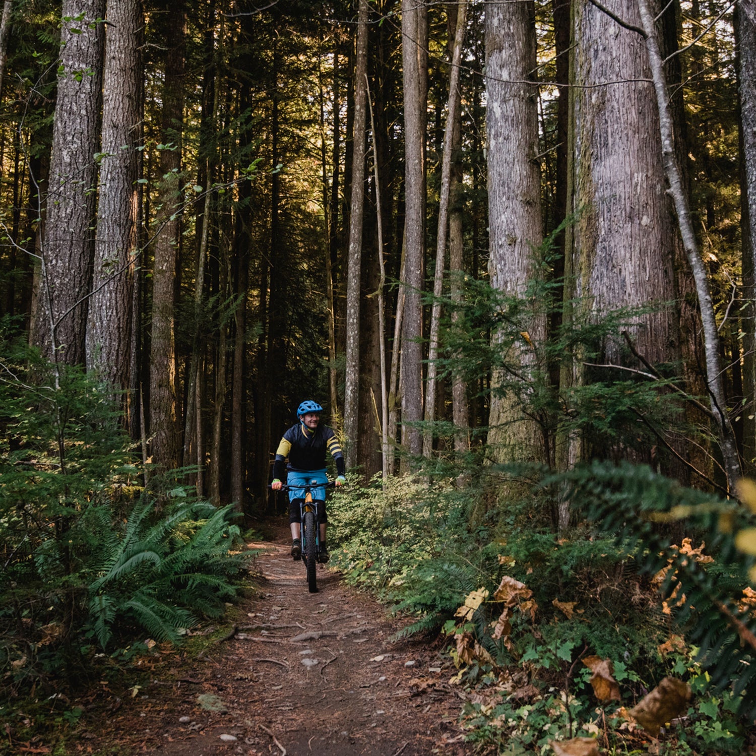 Mountain biker in the forest with fall leaves.