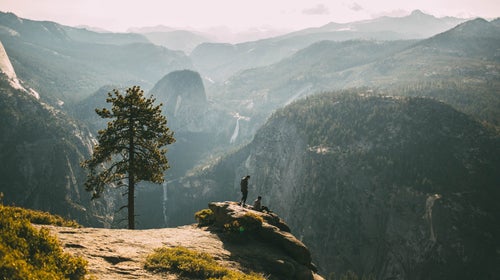 Two figures in the middle of the wilderness