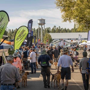 People walking through Overland Expo