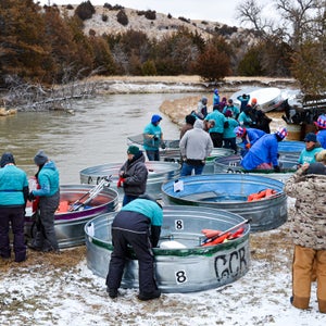 On the banks of the Middle Loup River, participants in the 14th Annual Polar Bear Tank Race load up.