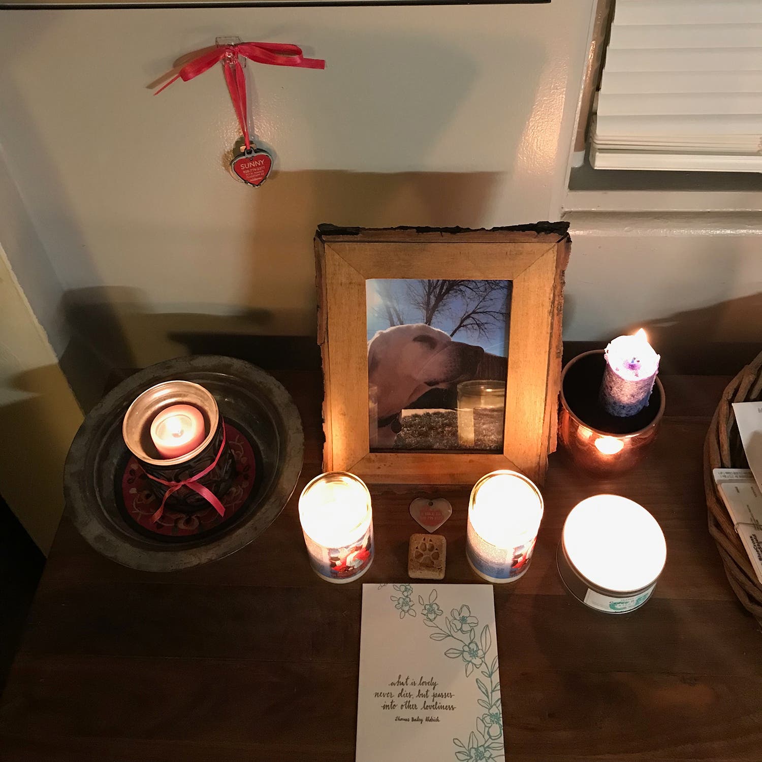 The author’s memorial to a very good dog, Sunny