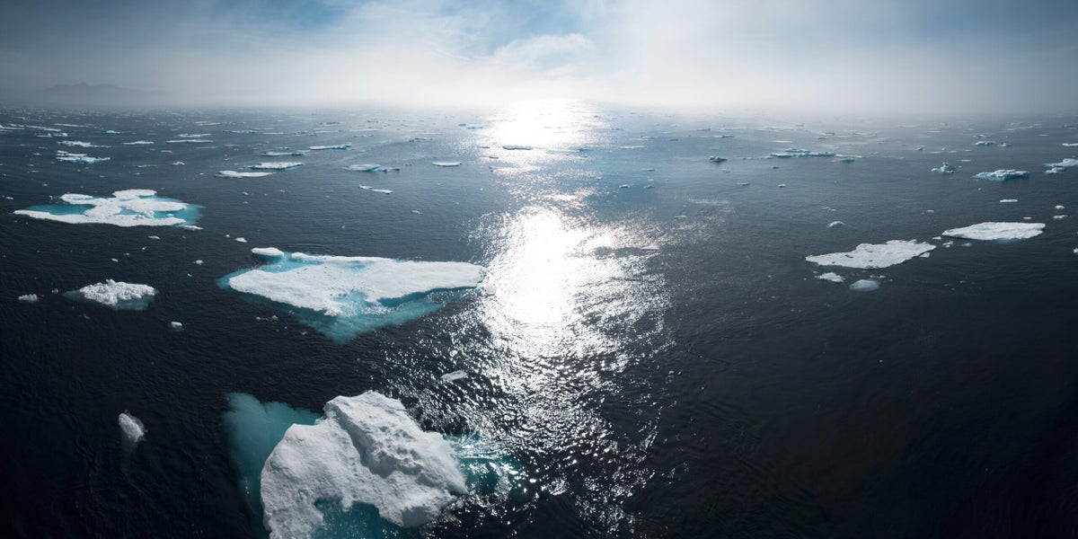 Are the Industry鈥檚 Two Biggest Climate Programs in Competition?