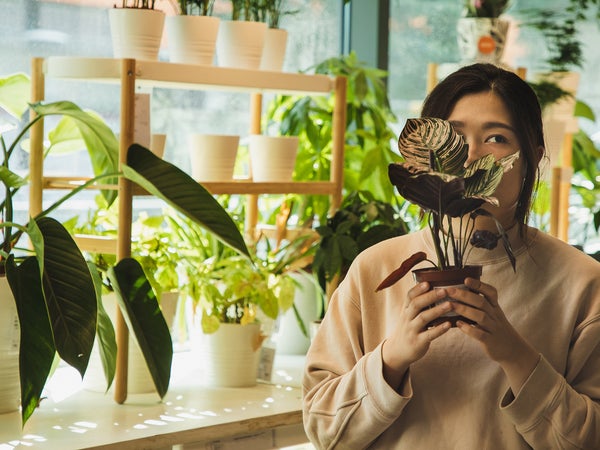 woman holding a potted plant