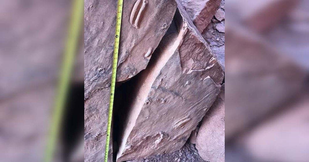 A photo showing where the fossil was removed from rocks.