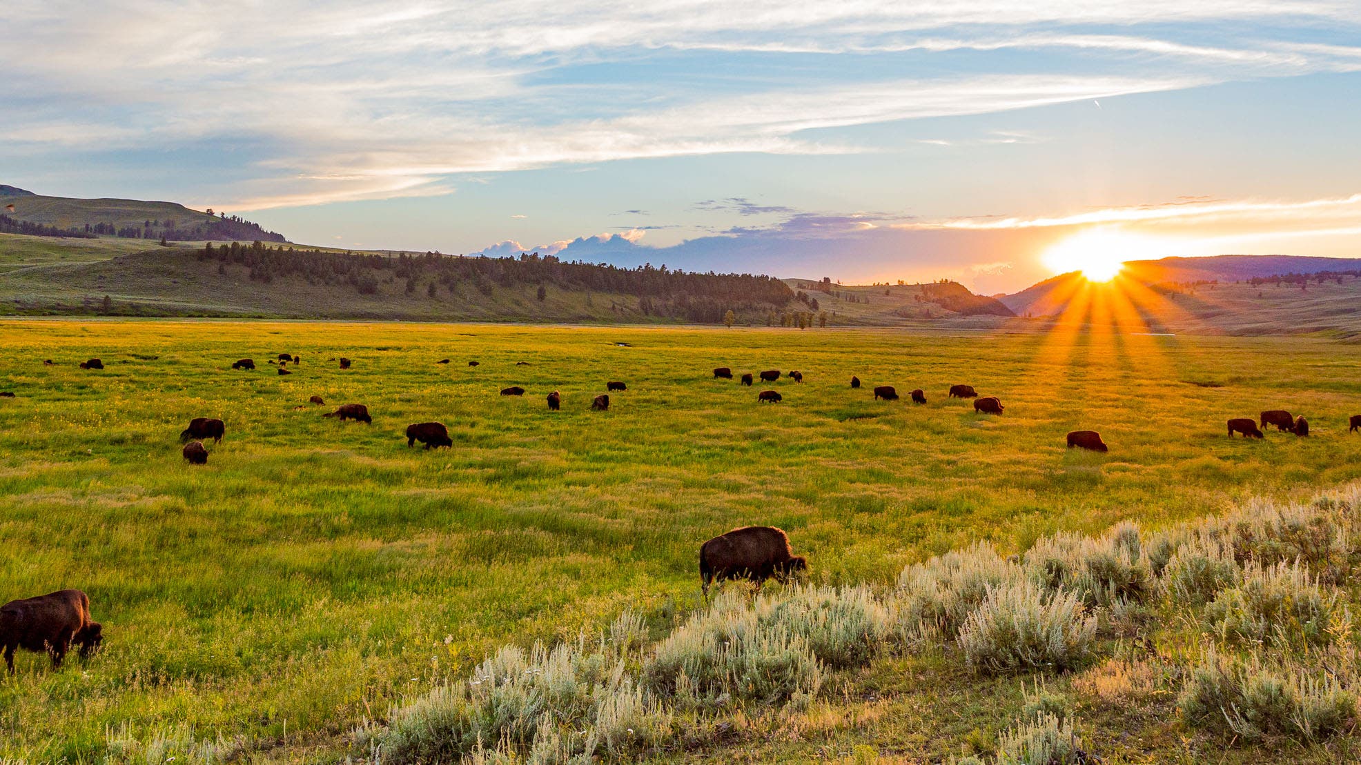 A sunset at Yellowstone National Park.