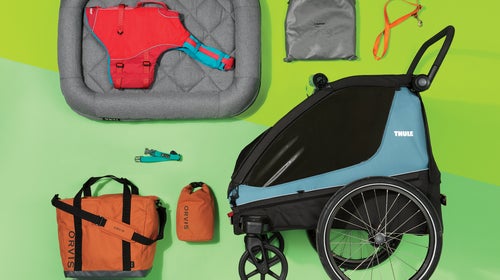 latest in dog gear and accessories