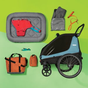 The Best Dog Gear of 2022