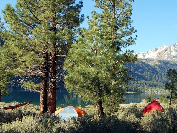 Oh Ridge Campground overlooking June Lake