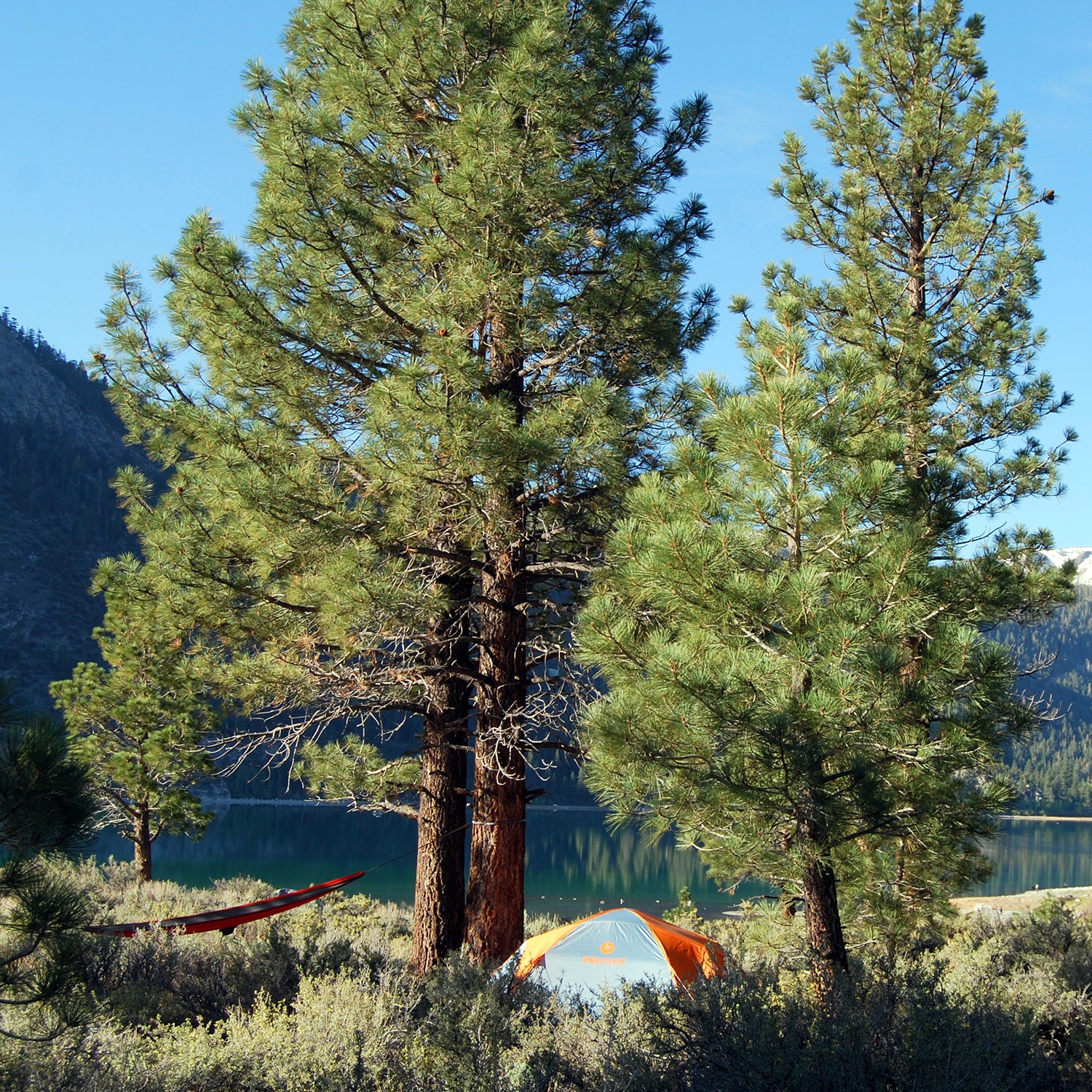 Oh Ridge Campground overlooking June Lake