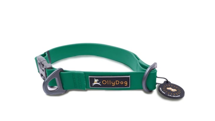 OllyDog Tilden Collar