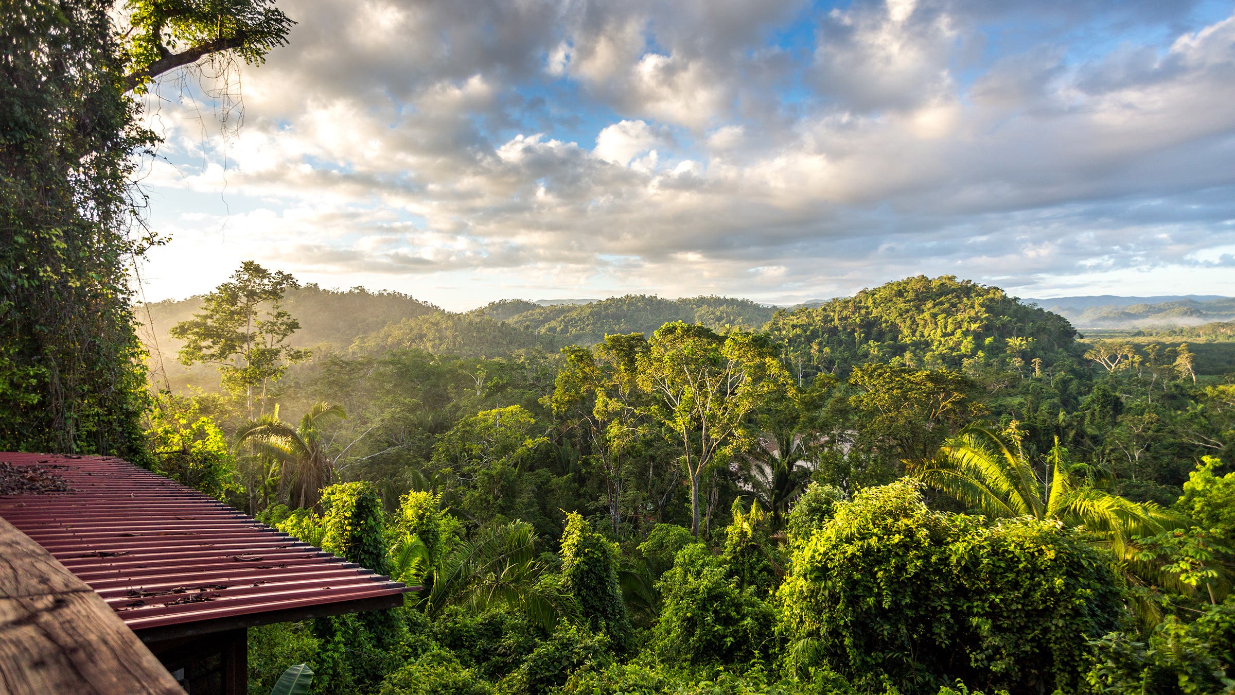 Stunning landscape of Mayan Rainforest above the tree canopy with dramatic blue sky