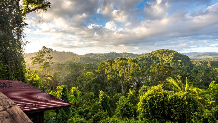 Stunning landscape of Mayan Rainforest above the tree canopy with dramatic blue sky