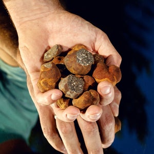 A batch of Appalachian Truffles
