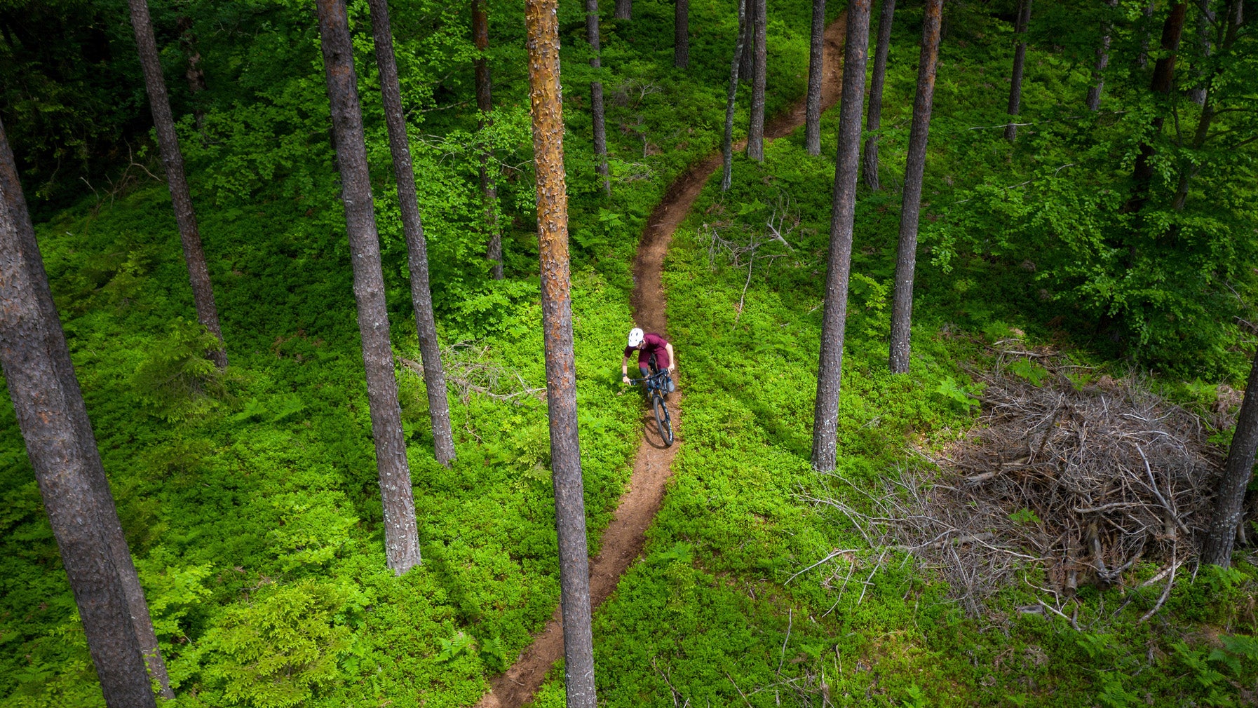 Mountain biker riding in the forest.