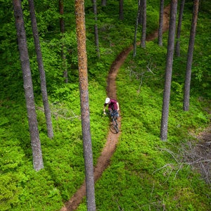 Mountain biker riding in the forest.