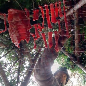 Beaver meat is a great source of fat and protein.