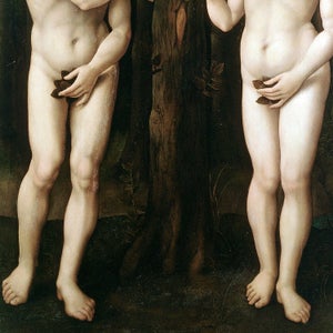 illustration of Adam and Eve covering themselves