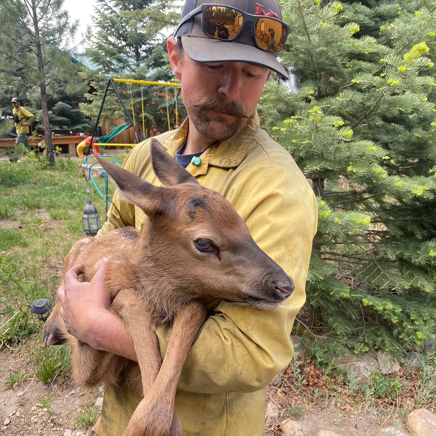 Cinder with Nate Sink
