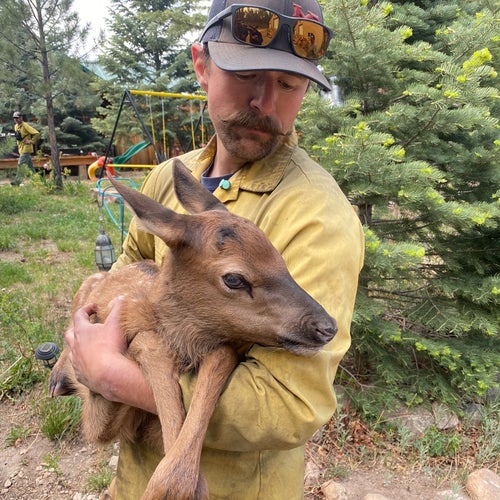 Cinder with Nate Sink