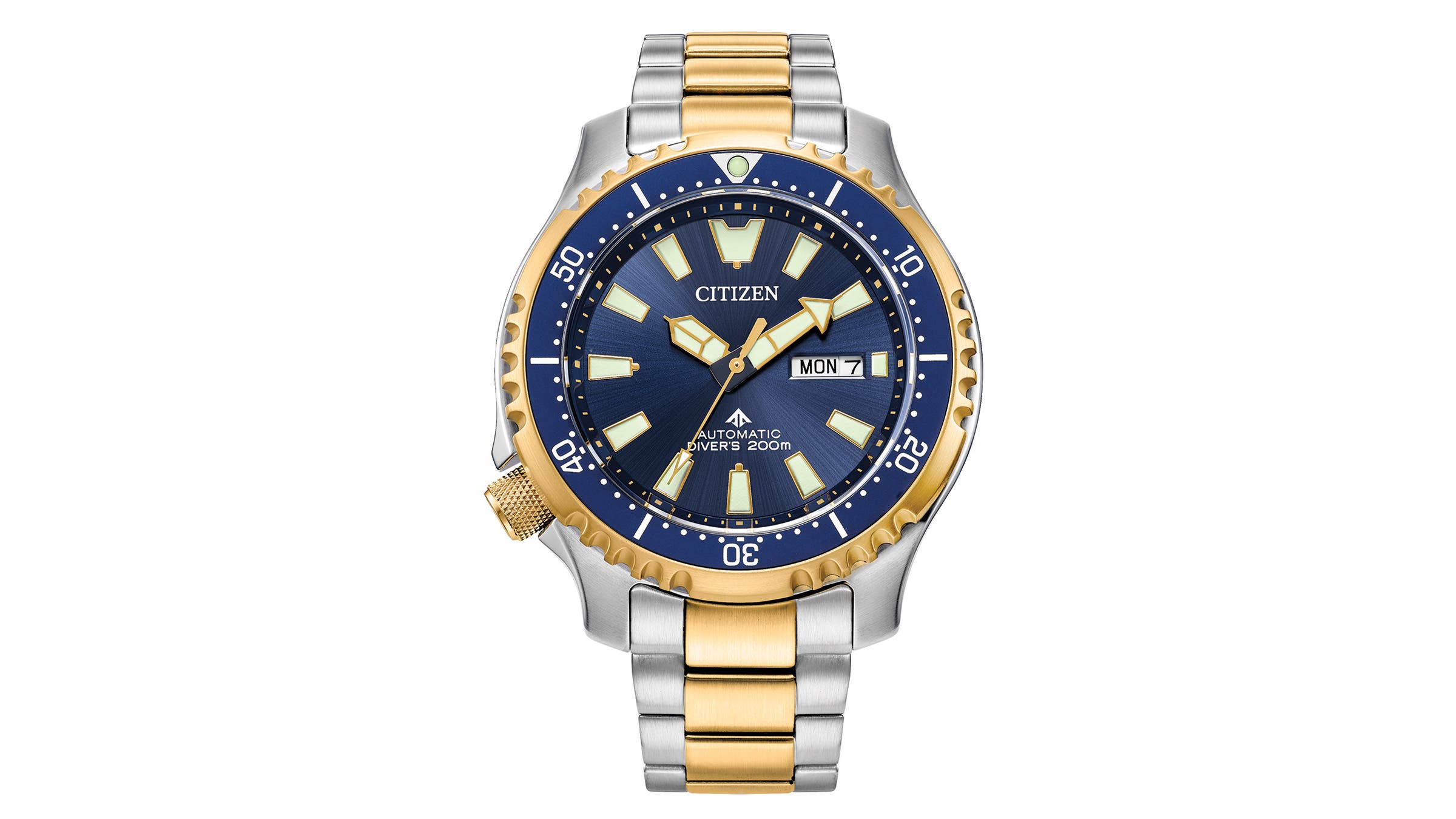 Citizen Promaster Dive Automatic