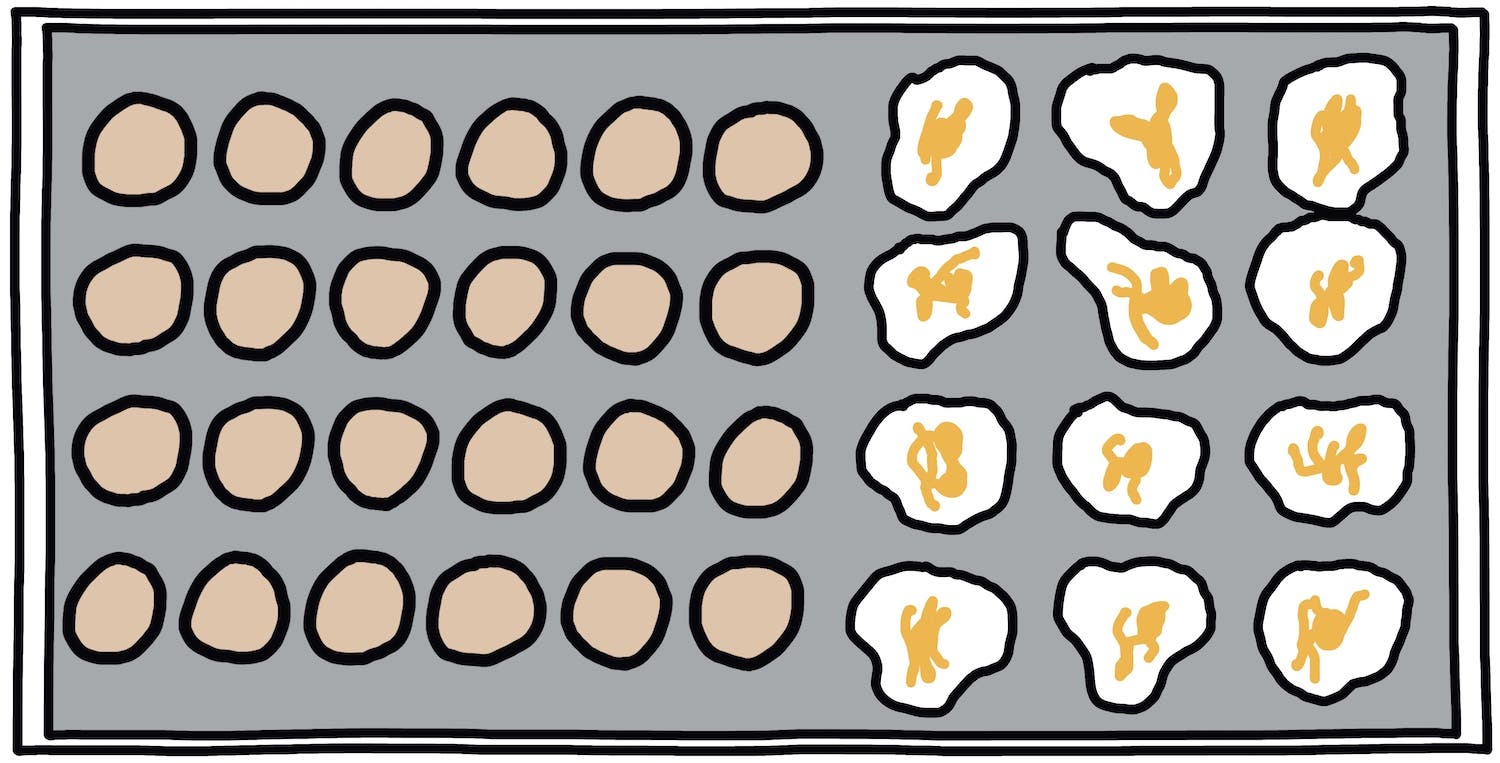 eggs on griddle illustration