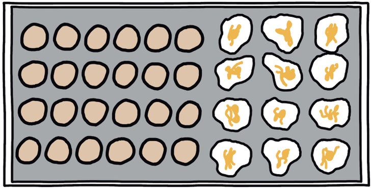 eggs on griddle illustration