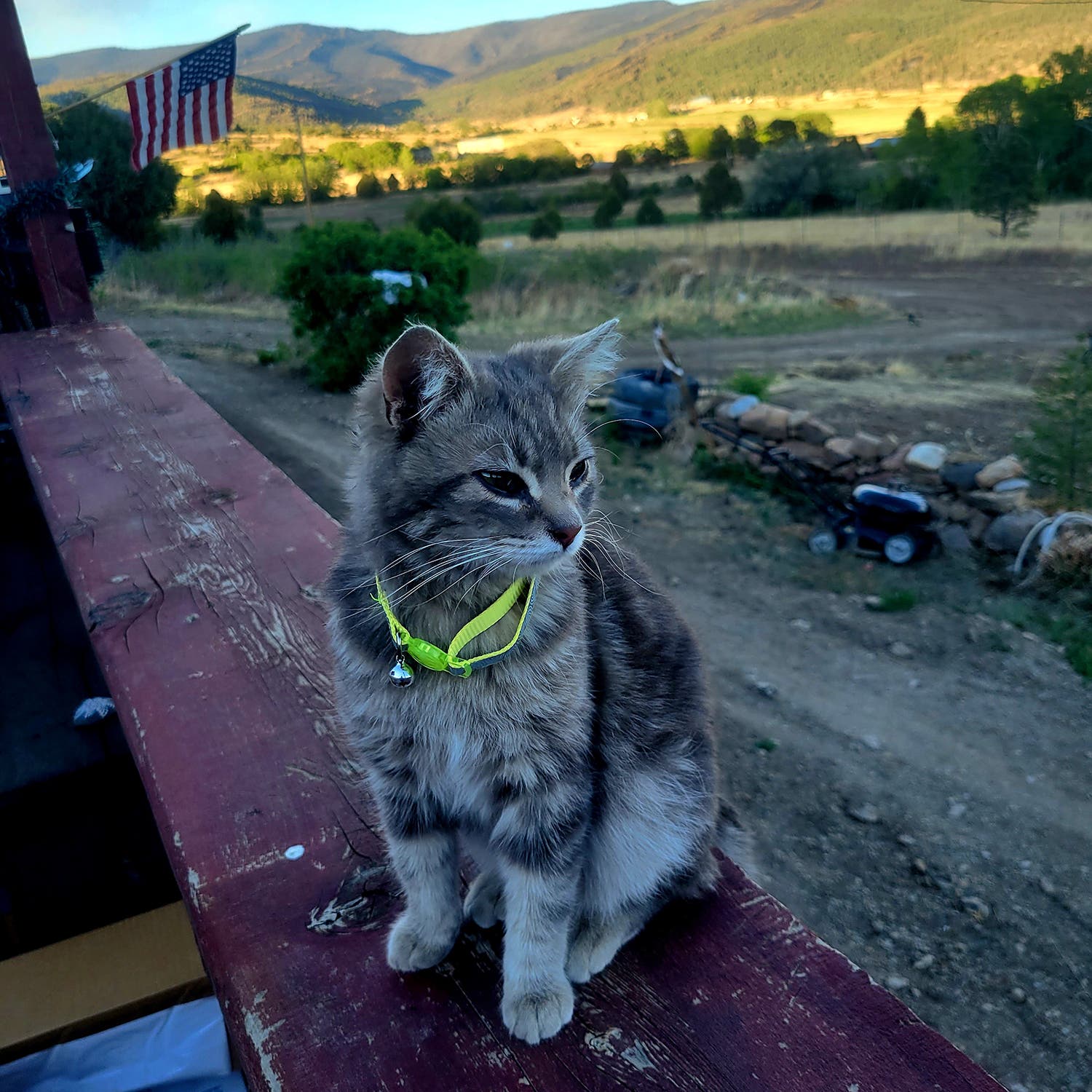 Emerald at home before the Calf Canyon-Hermit’s Peak fire