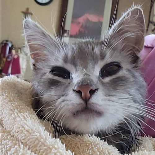 Emerald after he came back