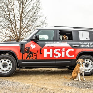 The Humane Society of Independence County, Arkansas, uses the Land Rover Defender it won in the 2021 Defender Service Awards to rescue animals, like the dogs in and in front of the Defender.
