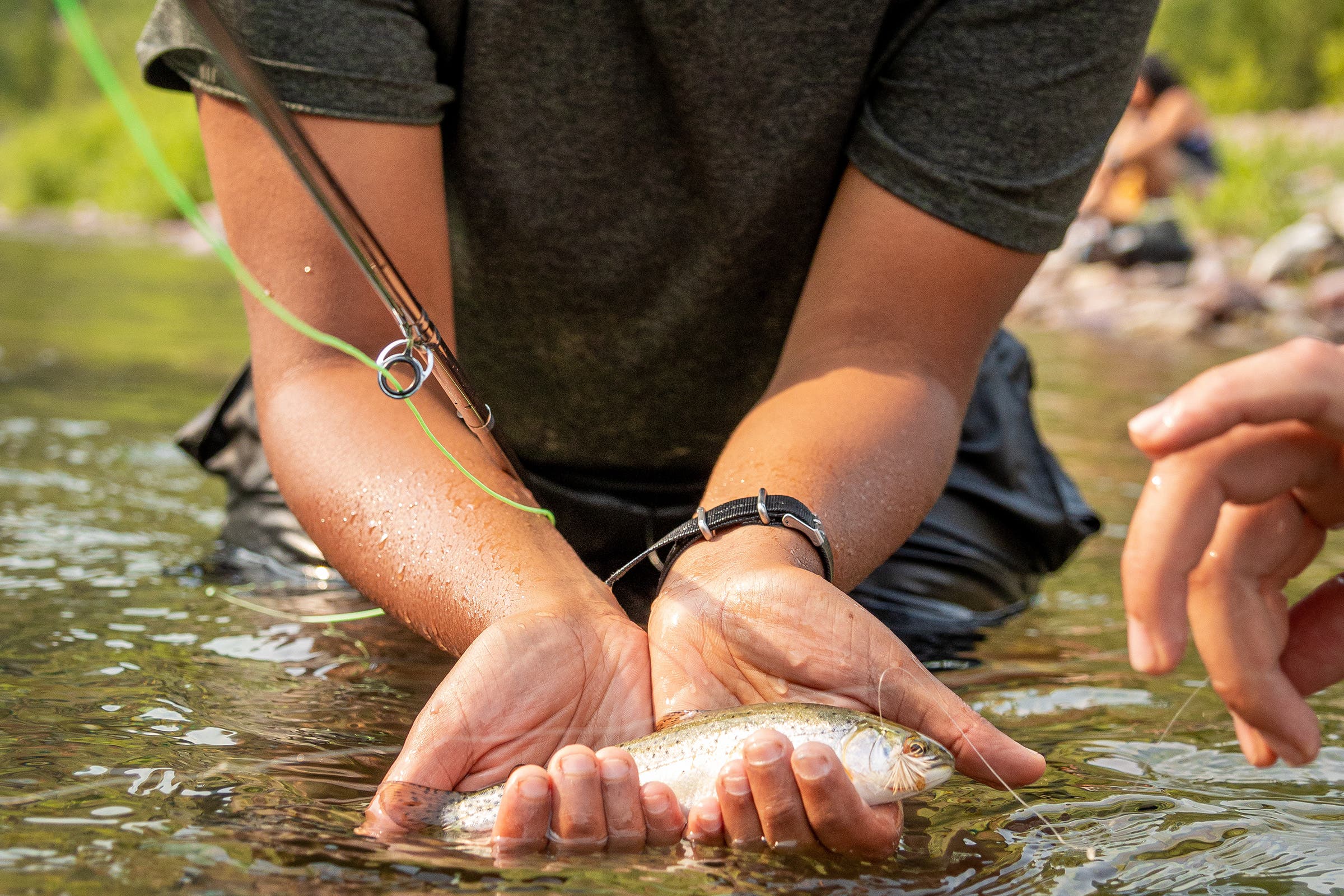 The Flathead River in Montana