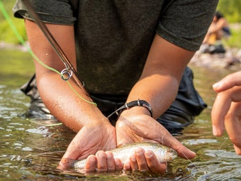 The Flathead River in Montana