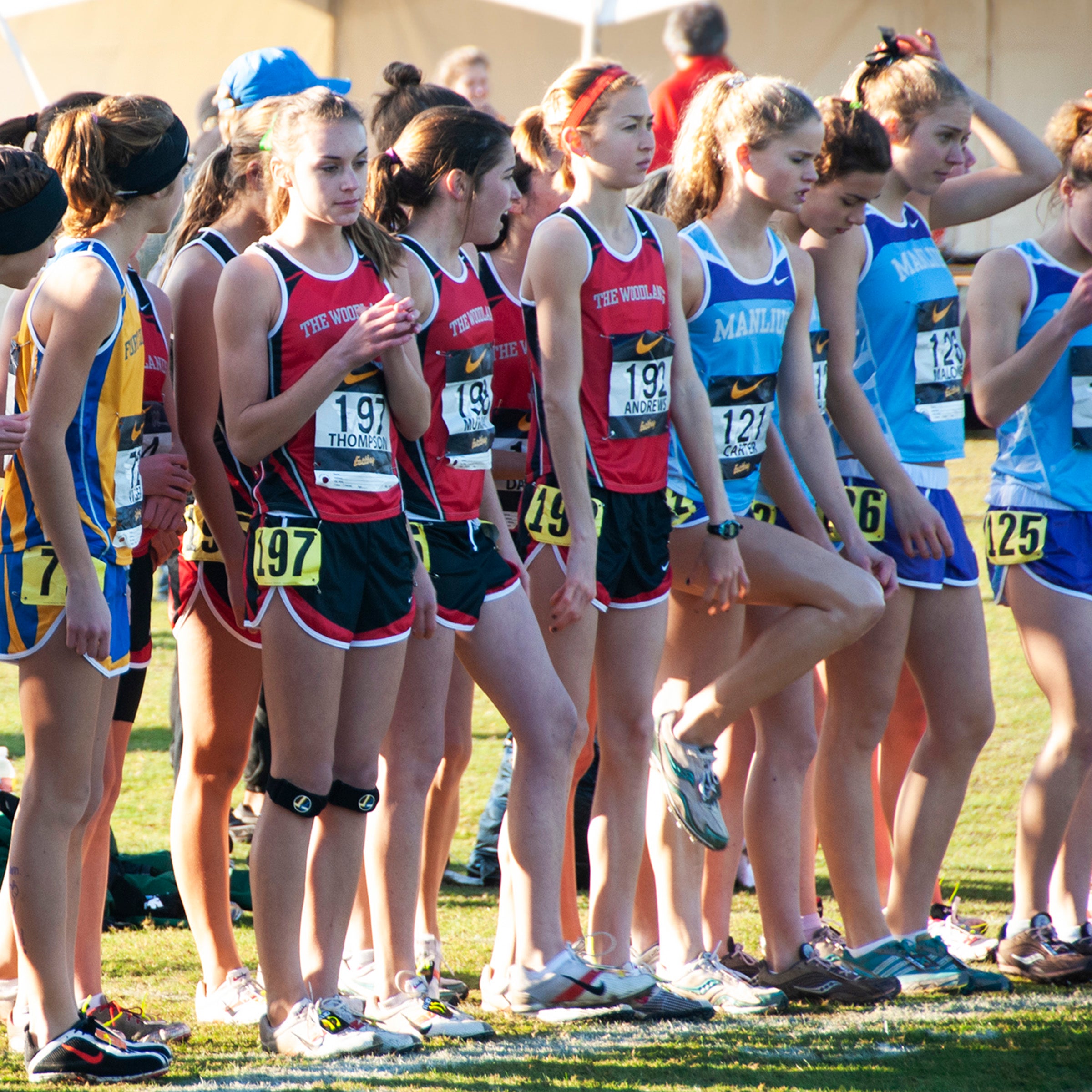 Runners rev up in high school cross country championship meets