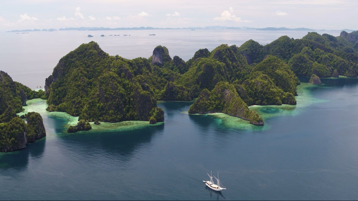 Indonesia’s Raja Ampat Is Brimming with Life