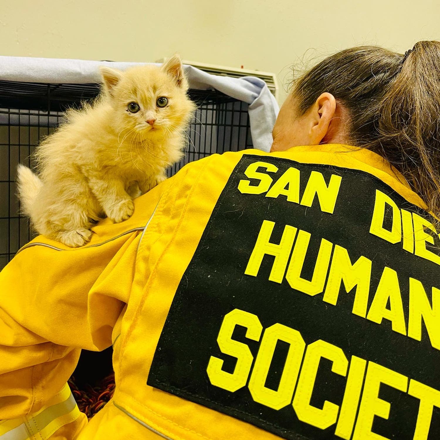 Summer with her rescuer, Summer Piper