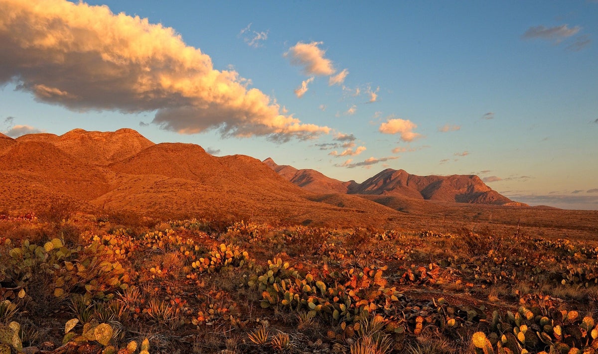 Opinion: Biden’s First National Monument Should Be Castner Range in Texas