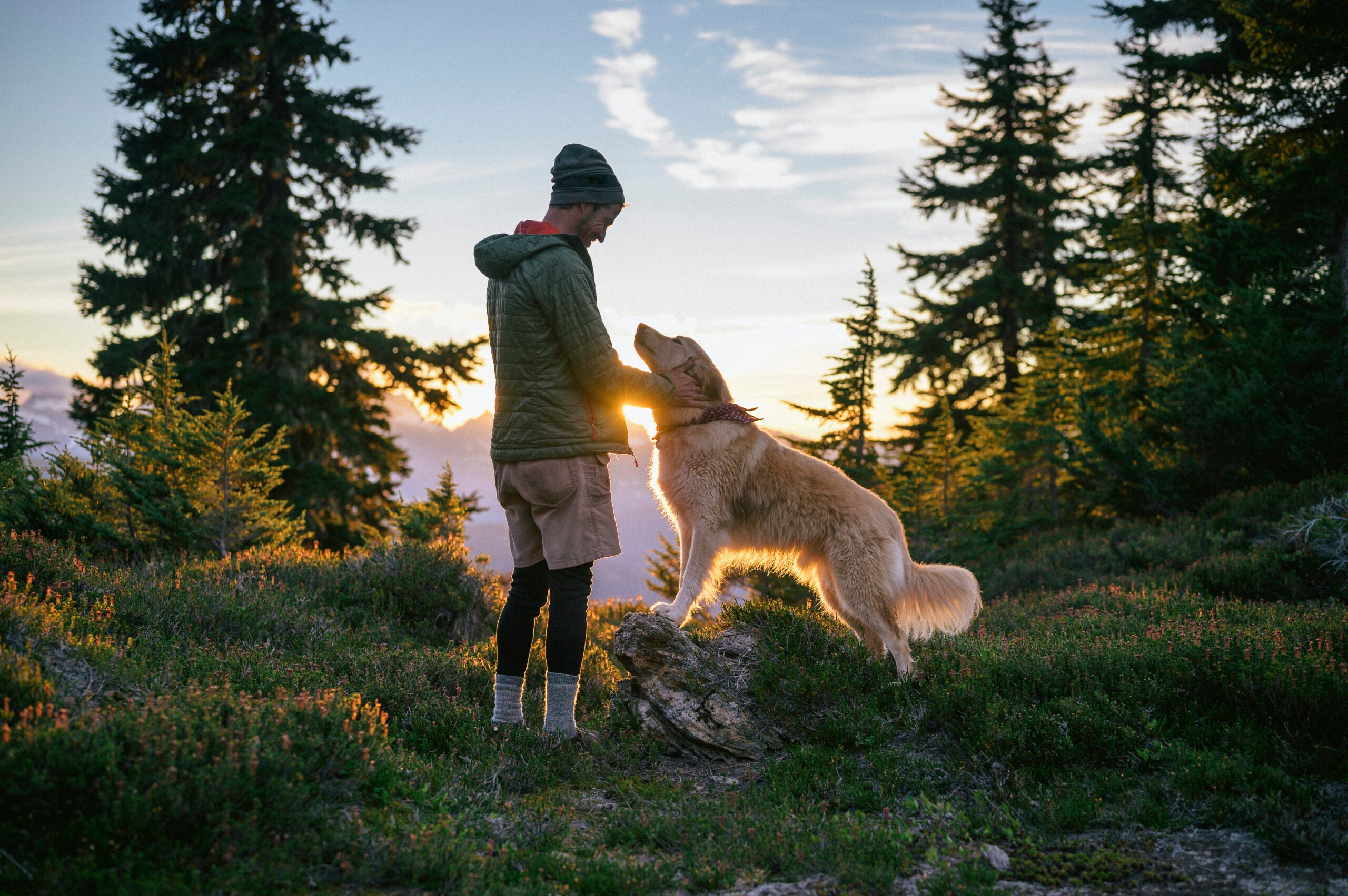 5 Ideas to Keep Your Adventure Dog Active This Summer