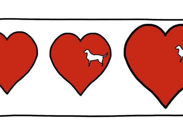 Dog-shaped hole in heart, heart growing in size