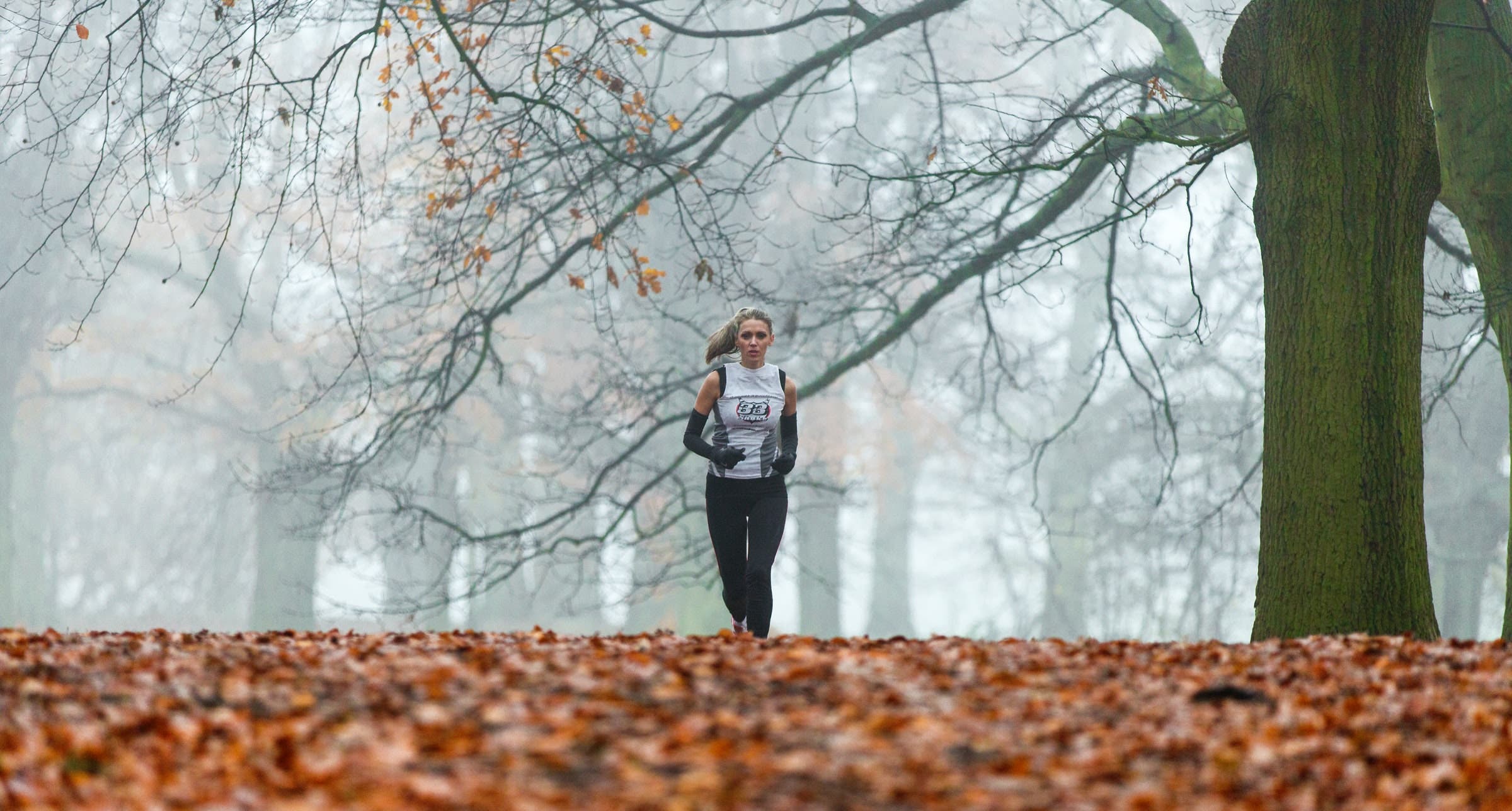 A solo runner in the forest