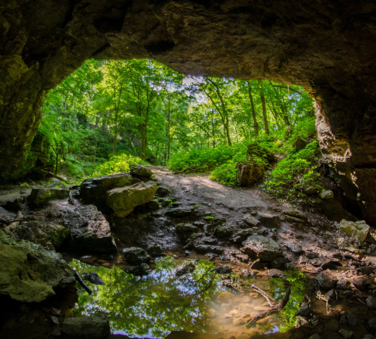 Looking toward an entrance to a cave at Maquoketa Caves State Park, with water in the foreground.