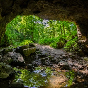 Looking toward an entrance to a cave at Maquoketa Caves State Park, with water in the foreground.