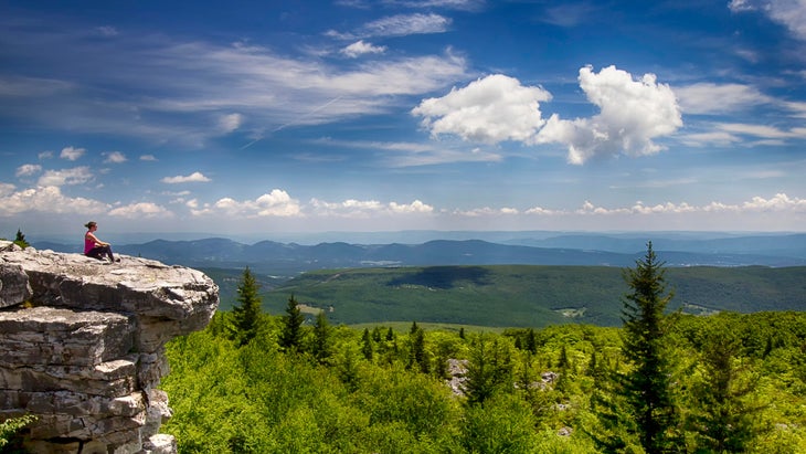 Monongahela National Forest West Virginia