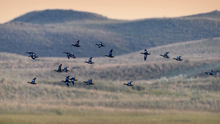 Sandhills in Nebraska