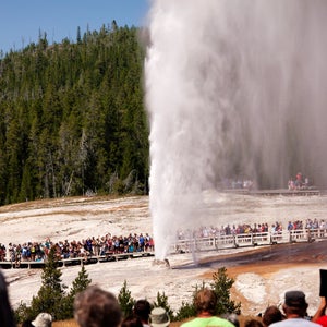 Tourists visiting Old Faithful Geyser at Yellowstone National Park