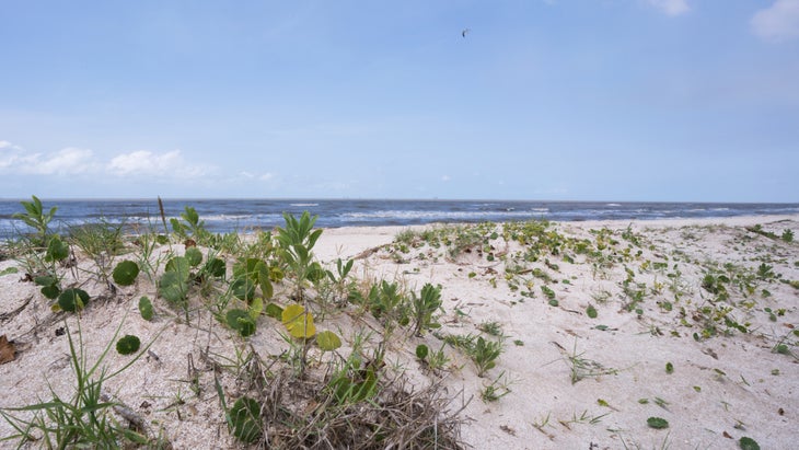 Rutherford Beach Louisiana