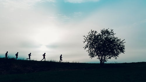 group running on a trail in nature with trees at sunrise.