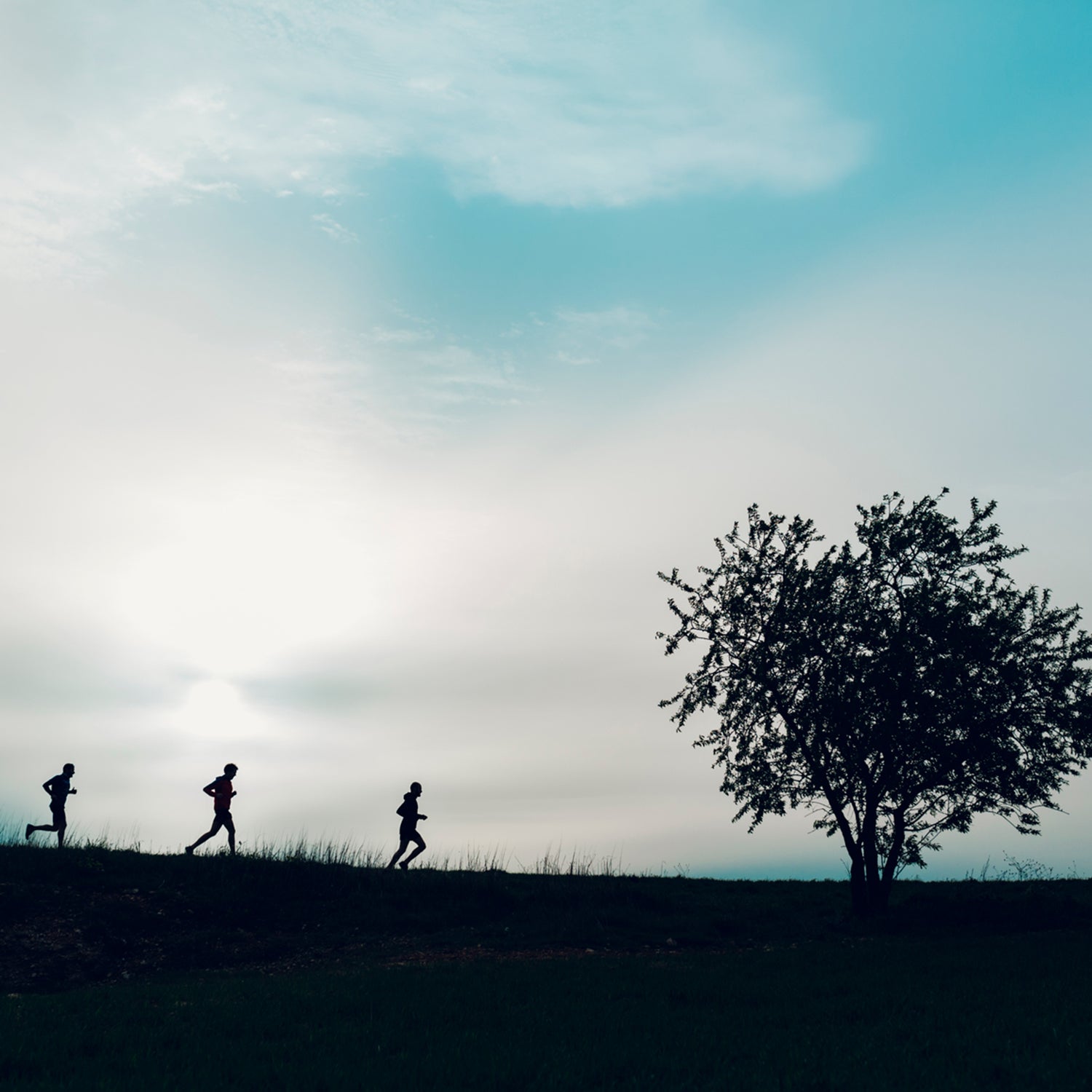 Silhouette of a woman enjoying herself in nature