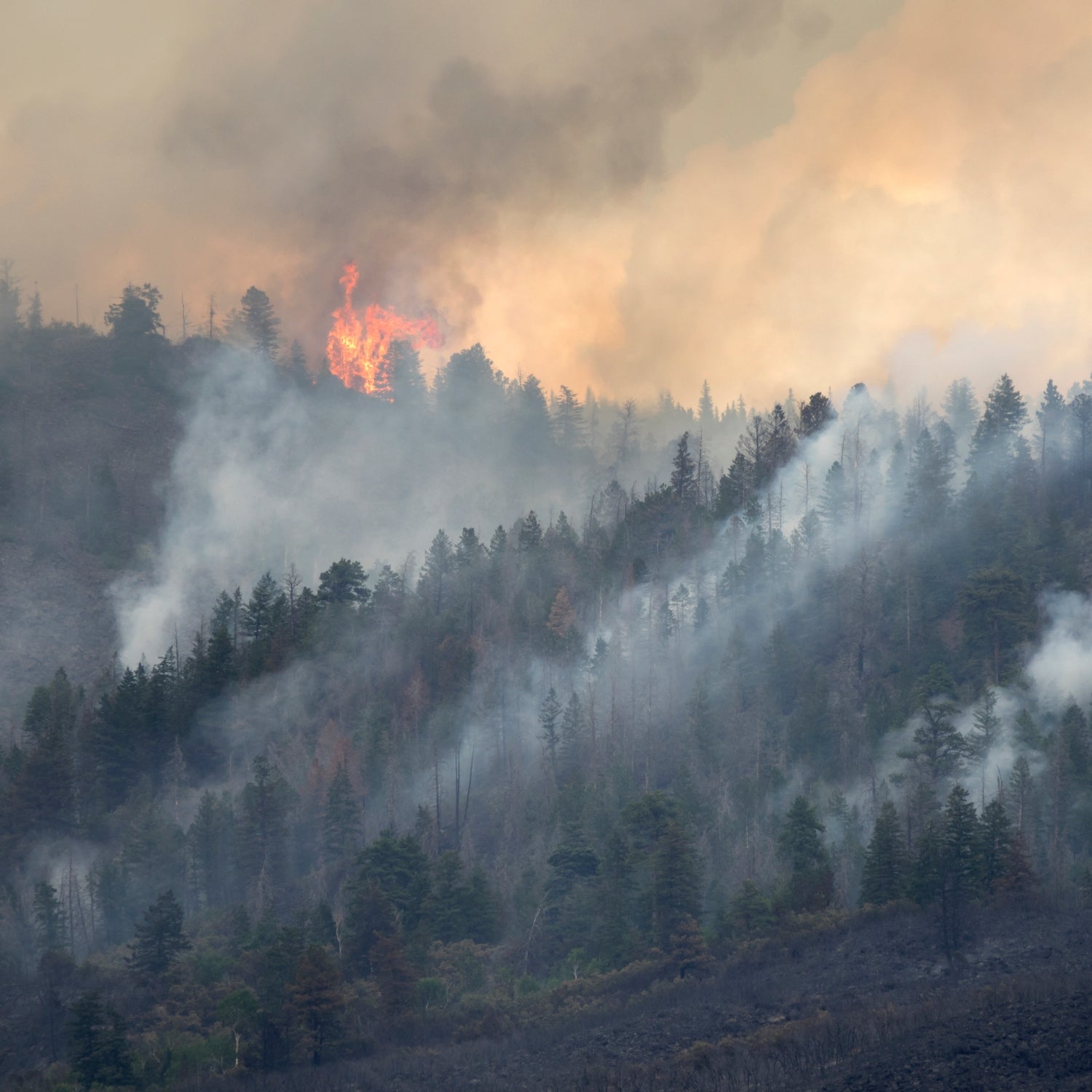 How Wildfire Smoke Affects Your Body and Mind