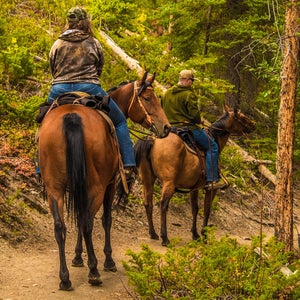 Horseback riders on the trail