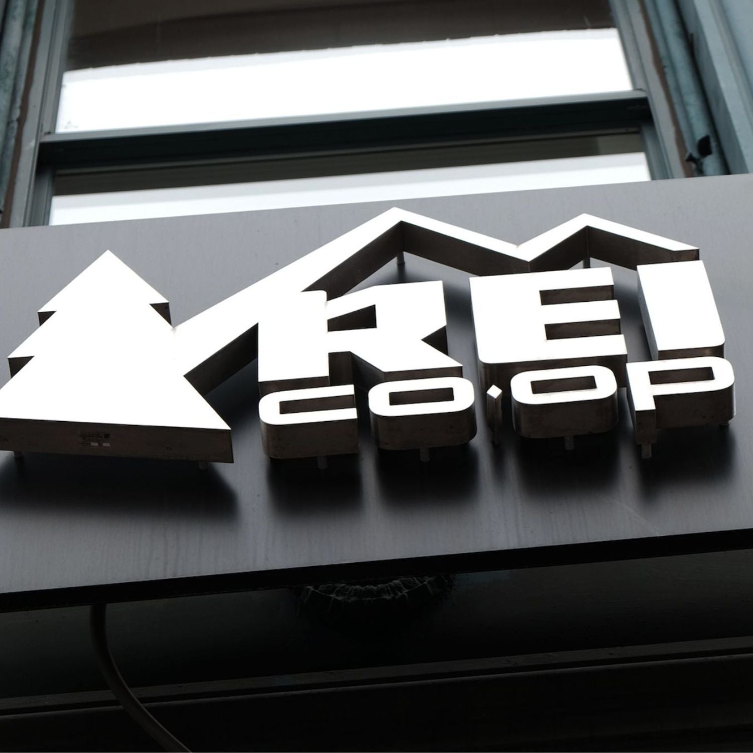 rei outlet startups, new startups