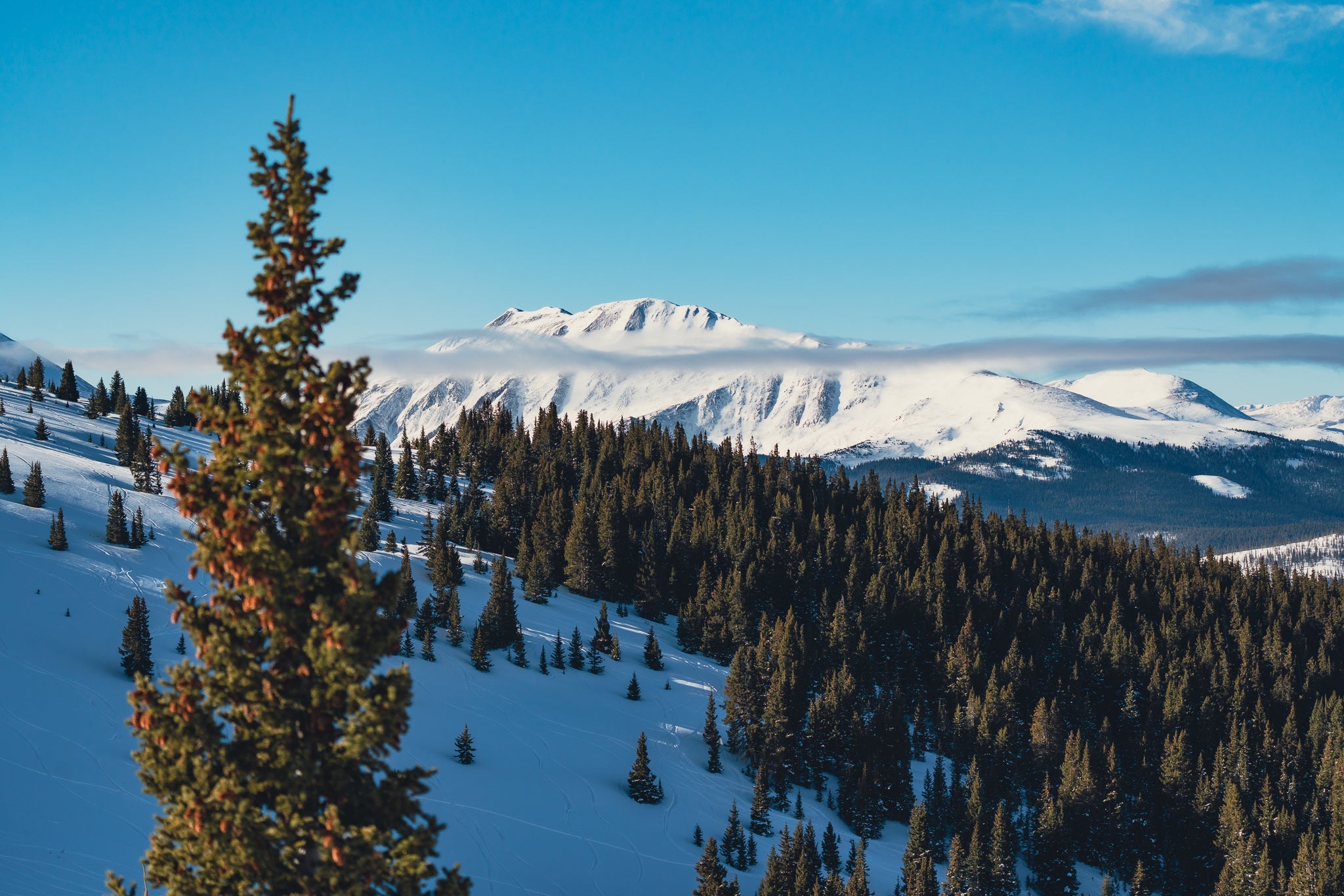 Bergman Bowl Keystone